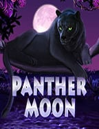 วิธีเล่น pg ฝาก ถอน วอ เลท เพื่อทำกำไรในเกมสล็อต